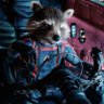 Void_Hunter714's profile picture. 🚀 🦝
