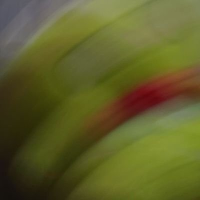 pspstss91's profile picture. 