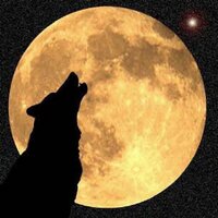 Aaron J. Michelfelder (@citywolf26) 's Twitter Profile Photo Aaron J. Michelfelder (@citywolf26) 's Twitter Profile Photo