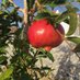 Die optimistische Olive 🕊🌹 (@claudschi15) Twitter profile photo Die optimistische Olive 🕊🌹 (@claudschi15) Twitter profile photo