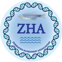 Zebrafish Husbandry Association (ZHA)(@ZHAonline) 's Twitter Profile Photo