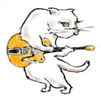 kiako (@kiako5000) 's Twitter Profile Photo