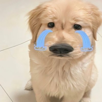 Malila880c's profile picture. ?