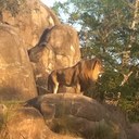 Seth Conner - @zone_C - Twitter