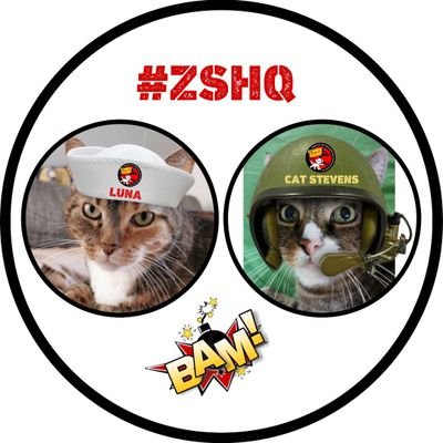 Cat Stevens aka Dickie 🐱 and Luna 🐱 We ❤ dogs, cats, cows... all animals 😻 Proud members of the Zombie Squad #ZSHQ