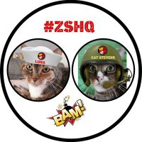 ππ± Cat Stevens & Luna π±π (@parthenos761) 's Twitter Profile