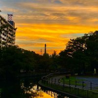 四長(仙台堀日記) (@sendaibori4) 's Twitter Profile Photo 四長(仙台堀日記) (@sendaibori4) 's Twitter Profile Photo