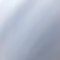 Diane Brundrett (@diane_brundrett) Twitter profile photo