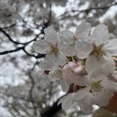 独り言，相談など。思ったことを呟きます。夜職の女の本音