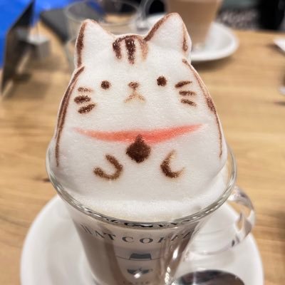 tomochitt's profile picture. 好きな人や好きなものを好き！と言うためのアカウント