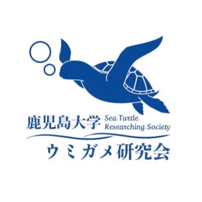 1983年創立、鹿児島をフィールドとしてウミガメの生態研究を行っている鹿児島大学公認サークルです。活動に関してのご質問等はDMでお問い合わせください！blog↓↓↓https://t.co/5X9OlIyMz2 🐢🐟🐠🪸🐚