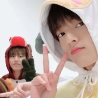 Carrot | inactive(@xwooharu) 's Twitter Profile Photo