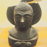 pandugadu (@broken__buddha) 's Twitter Profile