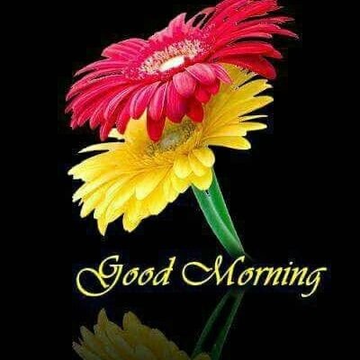 bigwincityx30's profile picture. 