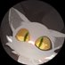 Gendutmulu (@gendutmuluhadeh) Twitter profile photo Gendutmulu (@gendutmuluhadeh) Twitter profile photo