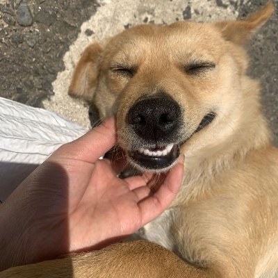 LDiazah's profile picture. Listen to the Sound From Underground $FAR