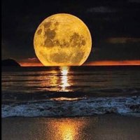 الفيصل (@f1111aa) 's Twitter Profile Photo الفيصل (@f1111aa) 's Twitter Profile Photo