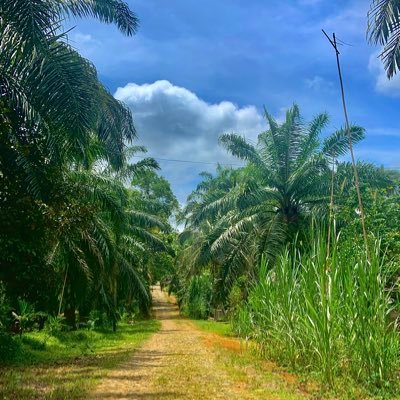 sihlakan tag sepuasanya akun saya,bagi yg risih saya tag boleh langsung di blok saja
