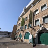 秋はる【近本残留感謝】 (@j54hzykc9mmkkr6) 's Twitter Profile Photo