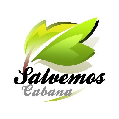 salvemoscabana Profile Picture