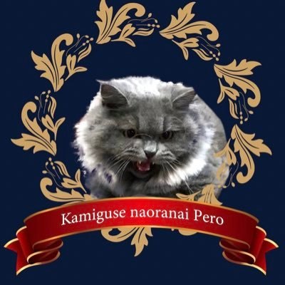 kamiguse_pero Profile Picture