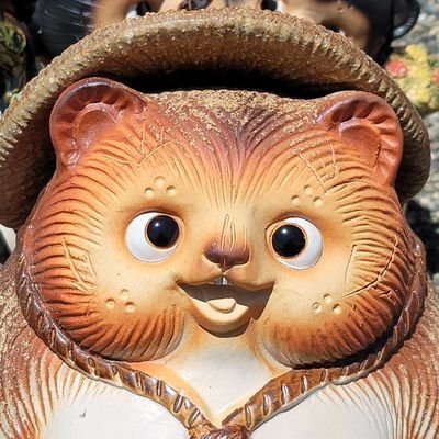 紅い狸💙💛さんのプロフィール画像