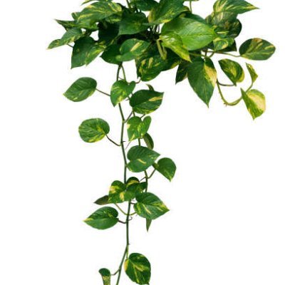 creeperinsky's profile picture. Teacher, Speaker, Nationalist, Involved in research,Loves reading, Interested in current affairs. Little Sarcastic. RT not endorsement.