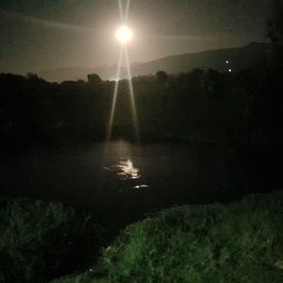 zutirev's profile picture. 😁