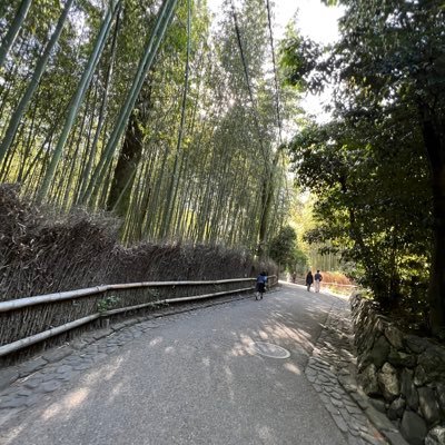 s6_m83's profile picture. 