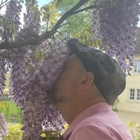 Michael Dorf (@michaeldorf) 's Twitter Profile