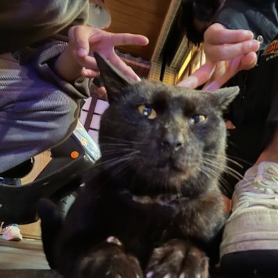 rinakun0_0's profile picture. 大学生