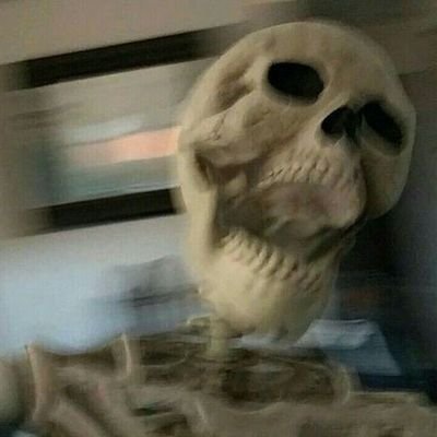 Kig_en's profile picture. 