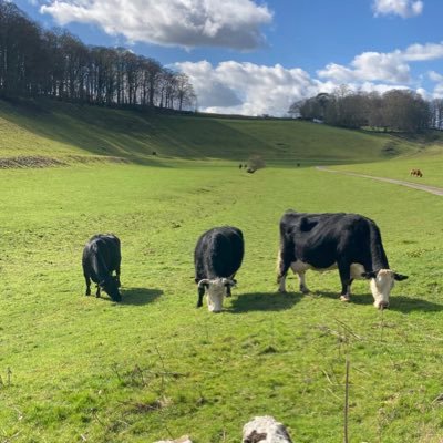 MisterP500's profile picture. Act responsibly. Stay safe. Be kind. 😎