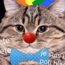 immense petasse né dans la friteuses du mcdo de montbeliard - gigantesque fraudeur aux apl