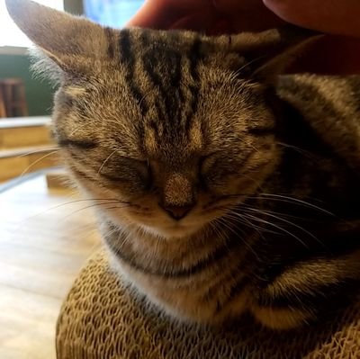 cssgame319's profile picture. ただのゲーマーです。無言フォロー失礼します。
メインハードはPS5です。
アドコレ(ps4版)、ポケモンSV遊んでます