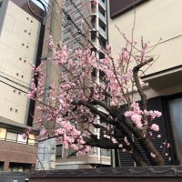 はやとん (@mrkmhyt_0901) Twitter profile photo