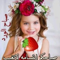 Salam Shehata (@salamshehata) 's Twitter Profile Photo Salam Shehata (@salamshehata) 's Twitter Profile Photo