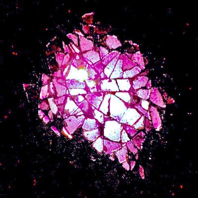 n82396266_ask's profile picture. 🐈🍡