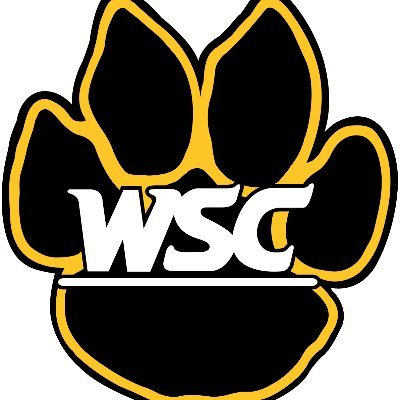 Wayne State Wildcats