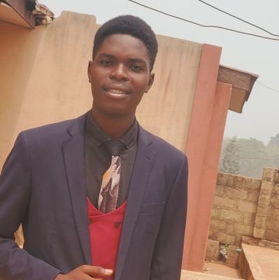 POVisuals_'s profile picture. UI/UX Designer / Figma// Backend developer/python/Django.