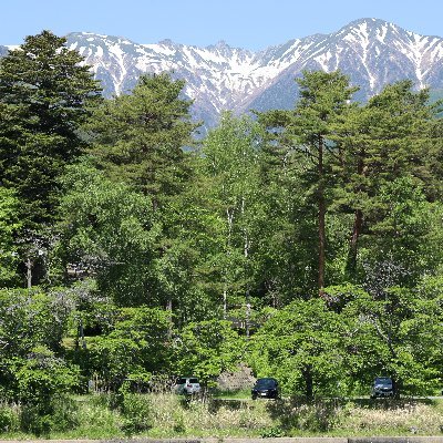 M_chnet's profile picture. 