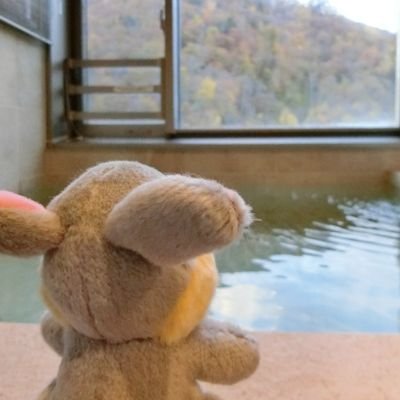 🎼❤️THE ALFEE😎🤓👩、KinKi Kids💙❤️、RAG FAIR🍊、Snow Man⛄️🩷/⛸️❤️Sergei Voronov/アカペラ(🎤 にごり親玉 @NIGORI_sake)/合唱(未来倶楽部)/天然石アクセサリー作る人(Atelier Krolik)