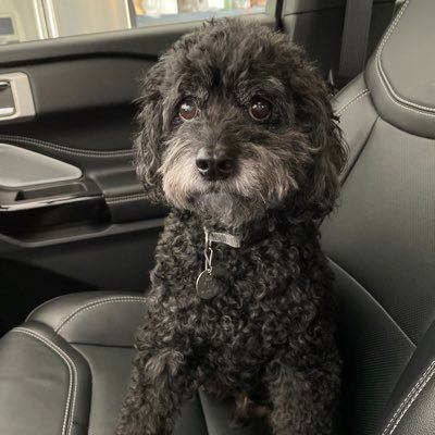CharlieHalfacr's profile picture. 