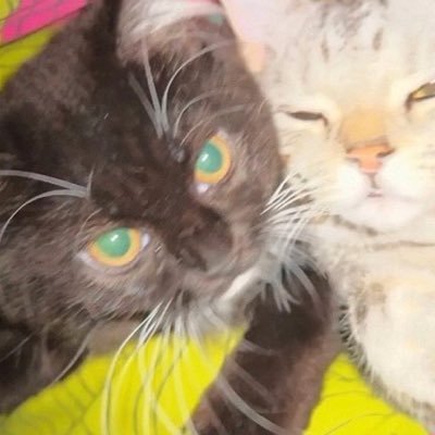 TRAGSIN1's profile picture. 