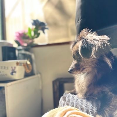 takumi1651's profile picture. 