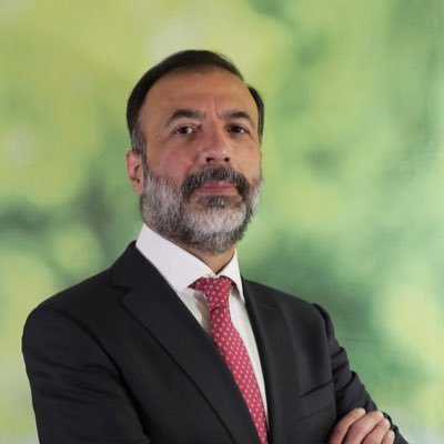 Economista| Docente| Competencia, regulación, econometría y comercio internacional| Datos serios para mercados caóticos