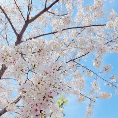 既婚男性に騙された。弁護士に依頼して慰謝料回収済み🌼
騙された側を責めるサレ妻はみんな敵と思ってます。
サレ妻も加害者家族です。
🆖→不倫男、詐欺男、最低男。自分だけが被害者ぶるサレ妻。

🌍日本の法律はもっと改案すべき。
