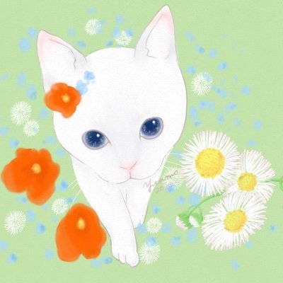 yuumo_shindan25's profile picture. 朝と夜に #勉強 📝｜会計・法律・IT他｜取得：国家資格4他｜❤🐈｜勉強されている方へいいね・無言フォロー失礼します
