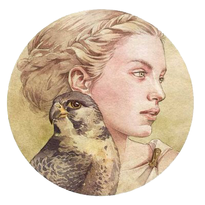 miro_tonev's profile picture. 