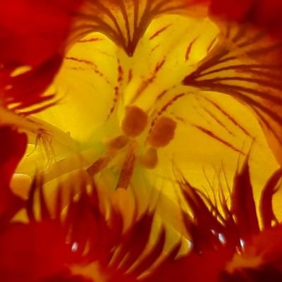 OrlaithMcC45742's profile picture. 